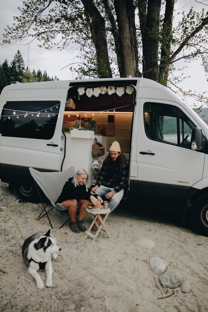 Enjoying a relaxing camping trip with dogs outside a cozy camper van in the great outdoors.